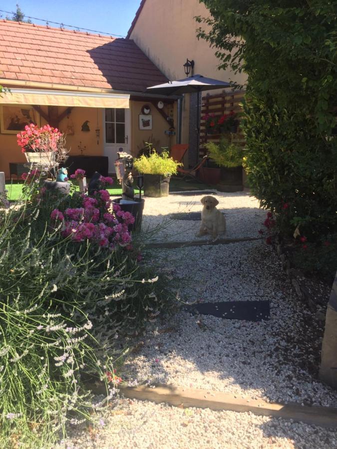 Le Jardin De Theleme "Charme Discret Pour Un Nid Douillet" Βίλα Mazille Εξωτερικό φωτογραφία