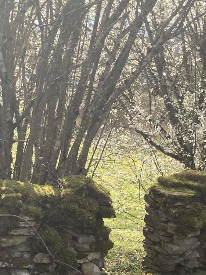 Le Jardin De Theleme "Charme Discret Pour Un Nid Douillet" Βίλα Mazille Εξωτερικό φωτογραφία
